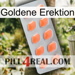 Golden Erection 26